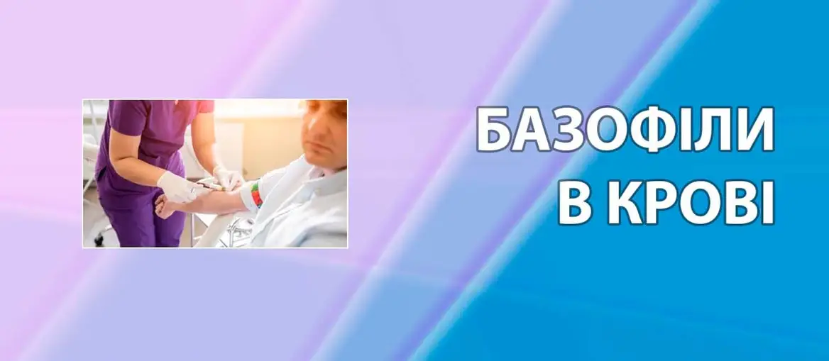 Базофіли у крові