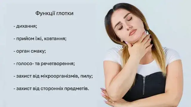 фізіологічні функції глотки
